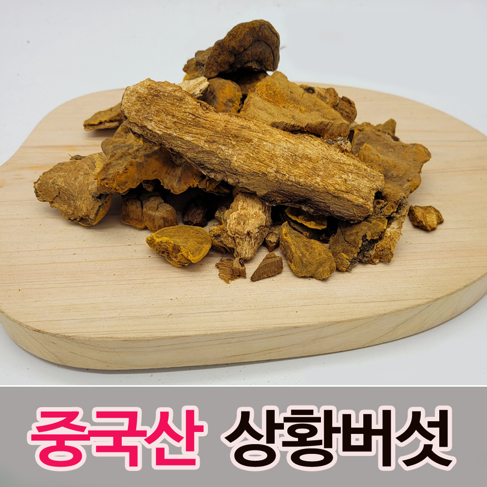 상황버섯-중국산